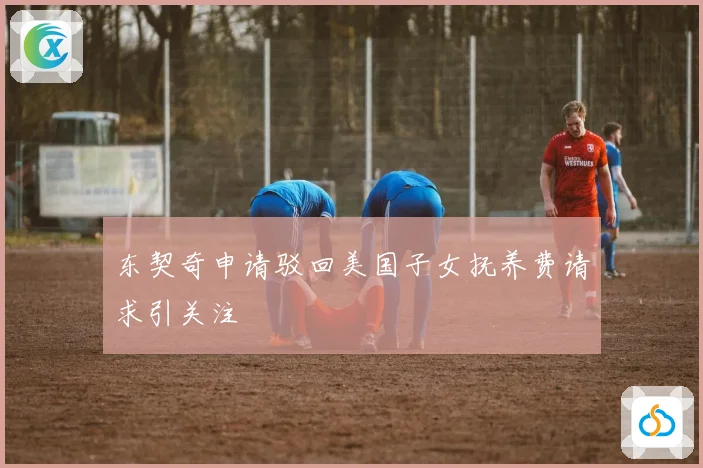 东契奇申请驳回美国子女抚养费请求引关注