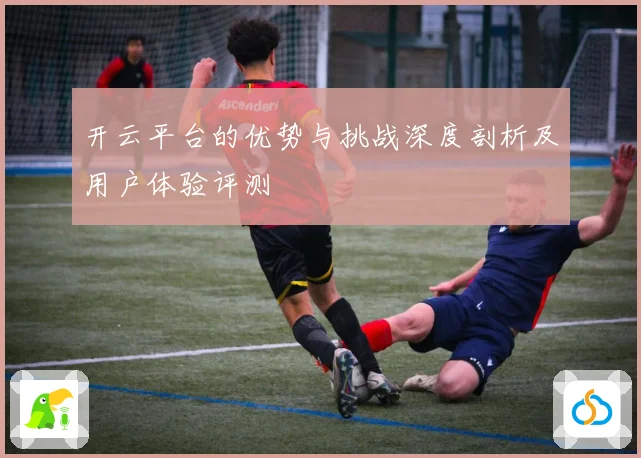 开云平台的优势与挑战深度剖析及用户体验评测