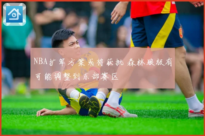 NBA扩军方案或将获批 森林狼极有可能调整到东部赛区