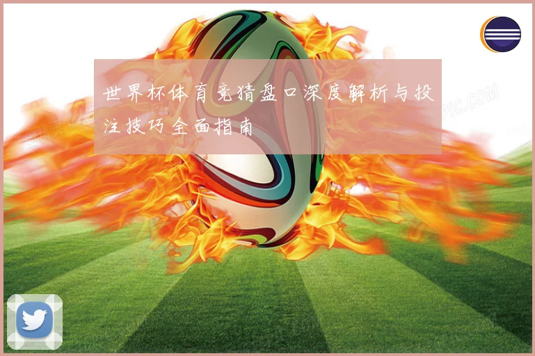 世界杯体育竞猜盘口深度解析与投注技巧全面指南